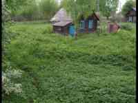 Продам участок с домом, деревне Белой первомайская 58 