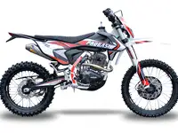 Мотоцикл эндуро progasi ibiza 300