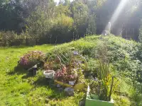 продам дачу, Химик - 5, Витебская обл., р-н, Вороничский с/с, фотография 6
