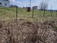 Здание отдельностоящее, Полочаны, Полочанский сельсовет, Молодечненский район, Минская облас, фотография 3