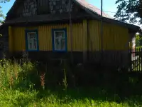 продам участок с домом в а.г. Черейщина Лепельский район, фотография 8