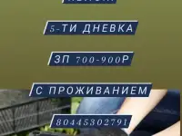 Работа вахтой в г.Минске