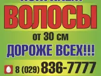 ПРОДАТЬ ВОЛОСЫ ДОРОГО в Шумилино. Купим волосы. Скупка волос. Куплю волосы дорого!