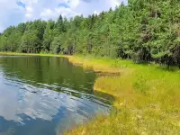 Дом у озера Болдук аренда, фотография 9