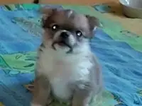 Мальчик