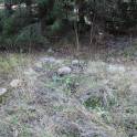 Участок 20 сот. (ИЖС), РФ, г Выборг, фотография 5