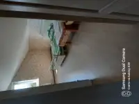 Аренда коттеджа посуточно в Петрикове т, 1-й Октябрьский переулок, 14, район, Гомельская область, фотография 8