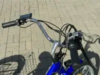 Трехколесный электровелосипед smartbalance fermer, фотография 8