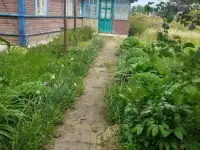 Продается дом с участком, д. Смоляны, ул. Центральная, 82 (Пружанский р-н, Брестская область), фотография 4