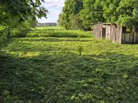 Продам участок, д. Прусы, фотография 5