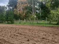 Продам дачу, ТО Темп деревня Скарчево, фотография 6