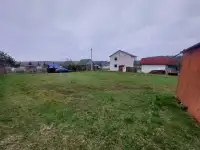 Участок Летний Вечер, фотография 2
