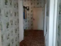 Продается квартира в 2 квартирном катедже, Михайловка, р-н до парич 8 км,светлогорск 33км,бобруйск 40 км, фотография 11