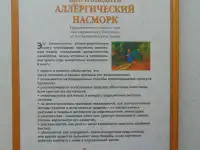Как победить аллергический насморк.Лечимся без лекарств,Махаон, 1999 год, 128 стр., фотография 2