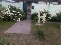 Продаётся коттедж, Пос Победа переулок центральный дом 7, фотография 1