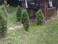 сдаю дачу, д. терюха ,,,,лесная 2а, фотография 9