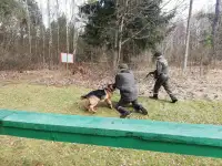 Гродненская пограничная группа осуществляет набор кинологов для службы на контрактной основе. Зарплата от 2200, фотография 5