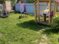 Дача, садоводческое товарищество Здоровье, Крапивенский сельсовет, район, Ви, фотография 2
