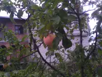 Коттедж 210 кв  3 уровня в Сморгони восточный МКР, ул Ф Скорины 35, фотография 7