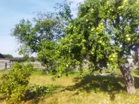 продам дом в деревне, д.Задобричье Червенский район, фотография 2