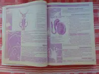 Мы ждем ребенка: таинство зачатия, счастливая беременность, успешные роды: энциклопедия  составители: С. С. Антипова и, фотография 5