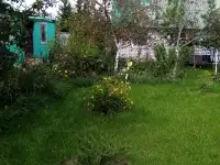 продам дачу в Барвин перевоз, фотография 3
