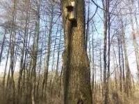 Комнаты, 3 Голодеда ул., фотография 9