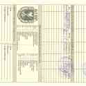 Продажа продаются щенки 2 девочки, фотография 5