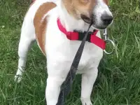 Вязка