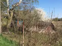 Продается участок с домом, Гродненская область, Зельвенский район, деревня Ивашковичи, фотография 7