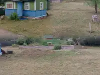 Покос травы триммером быстро,чисто, недорого., фотография 3