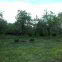 Дом в Бродищах