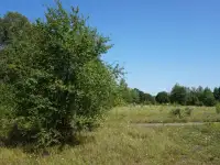 Склад, Армейская ул 10А, фотография 6
