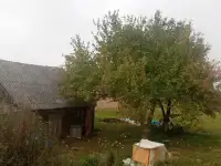 продается дом, ,обьявление есть в куфаре и в реалте мобильнай версии, фотография 8