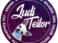 Питомник чихуахуа JudiTeilor FCI