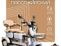 Пассажирский электротрицикл AVM City 650
