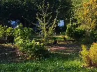 Дом в красивом месте, 25 км от МКАД, Молодечненское направление, фотография 9