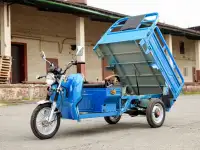 Грузовой электротрицикл AVM Cargo 1500, фотография 2