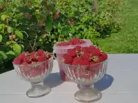 Свежая крупная малина с доставкой к вашему дому, фотография 4