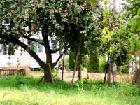 Продаётся квартира, Дрибинский район. Рясна, фотография 2