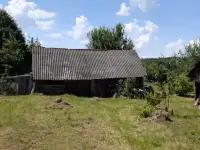 Хутор у озера и леса, деревня Заболотники, Синявский сельсовет, район, Минская область, фотография 2