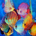 Продам аквариум фэн-шуй  для привлечения  денежной  удачи, фотография 5