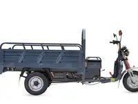 Грузовой электротрицикл rutrike титан 2000 гидравлика 60v1500w, фотография 8