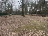 Земельный участок в лесном массиве с выходом к оз, деревня Завышье, Мохровский сельсовет, Ивановский район, Брестская область, фотография 8