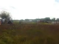 Участок 6.5 сот. Гомельский р-н, д. Чкалова, СТ Глушец, фотография 4
