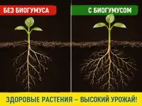 Натуральный Биогумус и вермикомпост оптом на реализацию от производителя, фотография 5