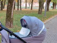 Коляска Bexa ideal limited 2 в 1, фотография 4