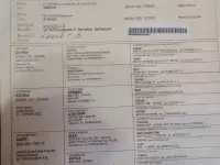 Продам щенков западно сибирской лайки, фотография 7