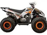 Квадроцикл yacota sporty xx 125, фотография 3