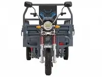 Грузовой электротрицикл rutrike титан 2000 60v1500w, фотография 5